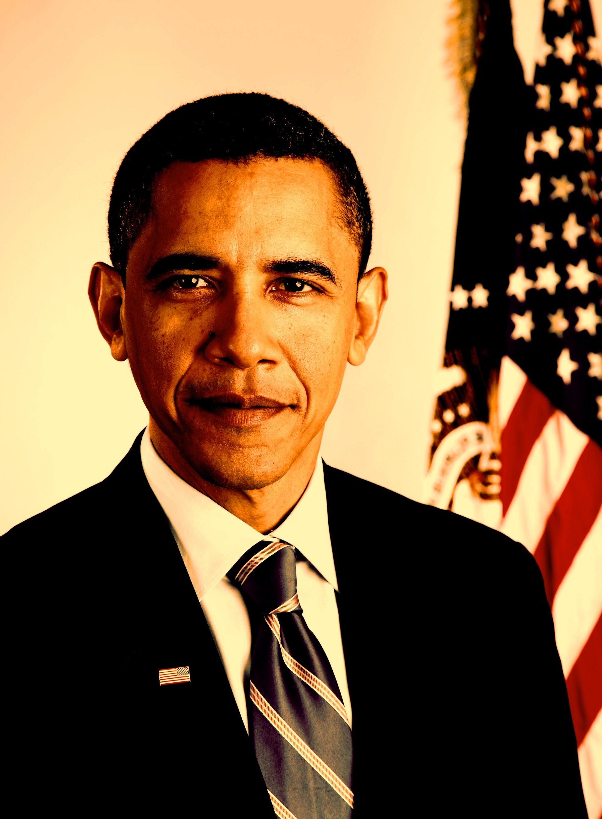 Official portrait of President-elect Barack Obama on Jan. 13, 2009. (Photo by Pete Souza)