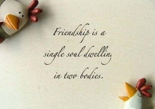 Happy Friendship Day Whatsapp Status & Messages 