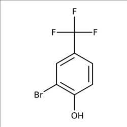 P-Hydroxybenzotrifluoride Market