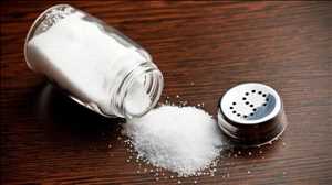 Salt Replacers Market