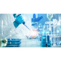 Biotechnology/Pharmaceutical Services Outsourcing Market 