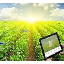 IoT in Smart Farming Market