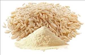  Organic Rice Protein Market