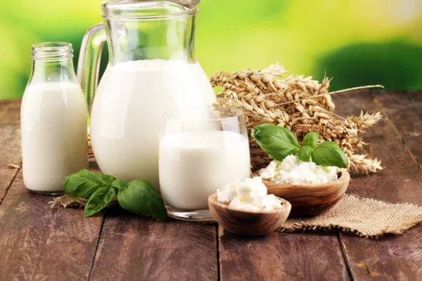 organic dairy products